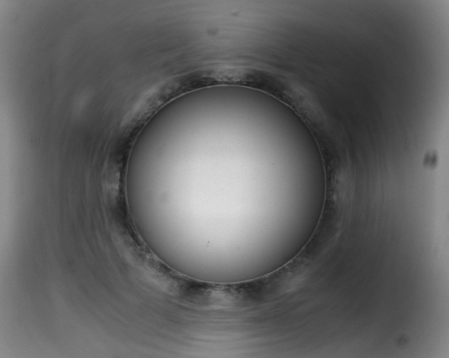 X0000116000697200911191214