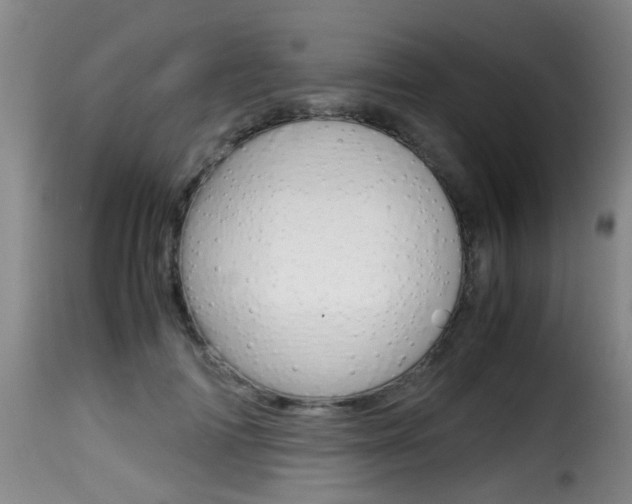 X0000116000698200911191214