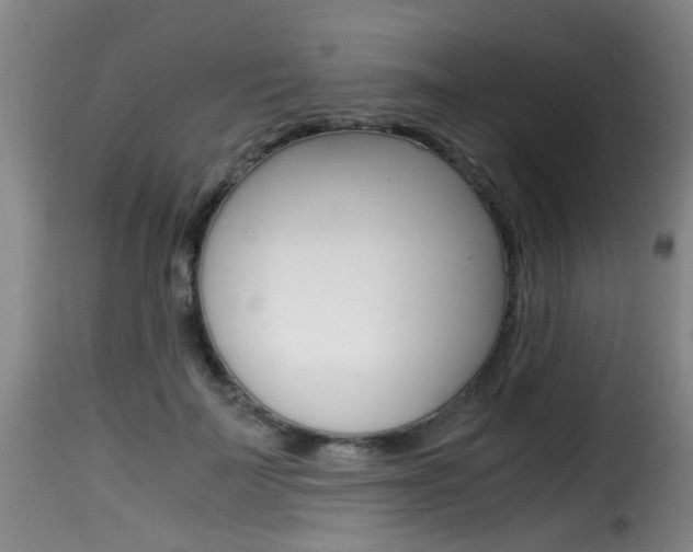 X0000116000699200911191214