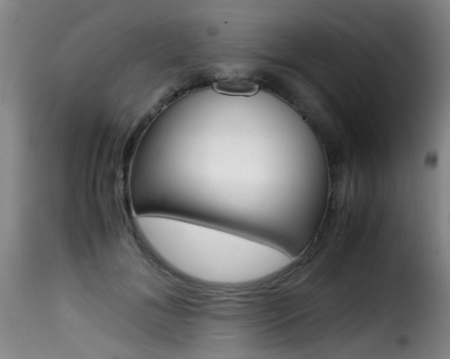 X0000116000700200911191214