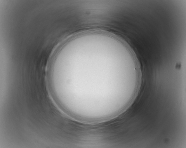 X0000116000701200911191214