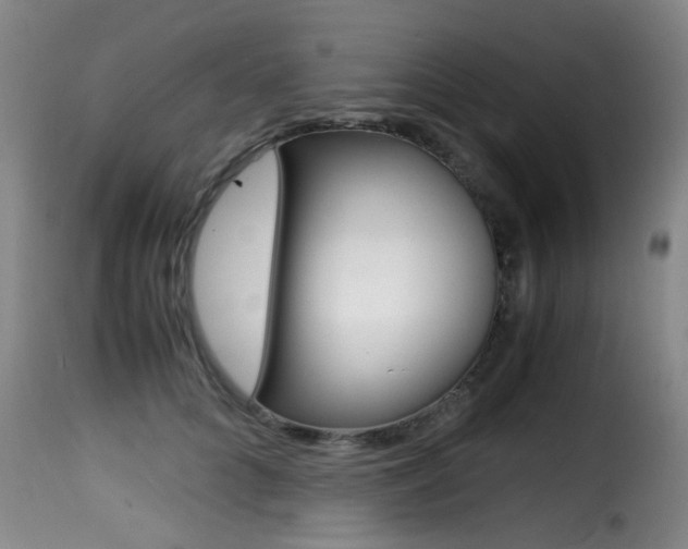 X0000116000704200911191214