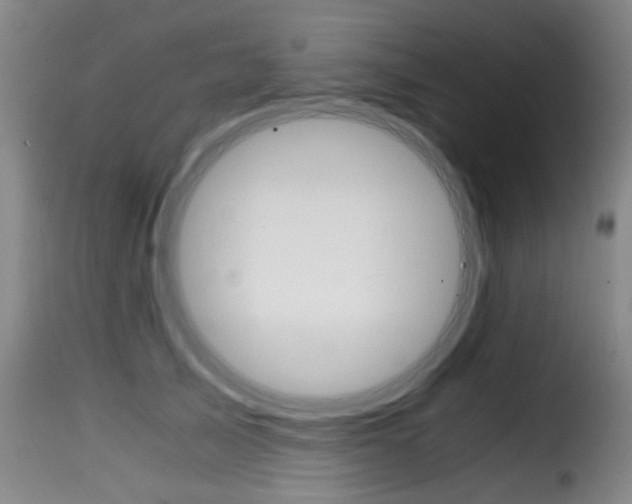 X0000116000705200911191214