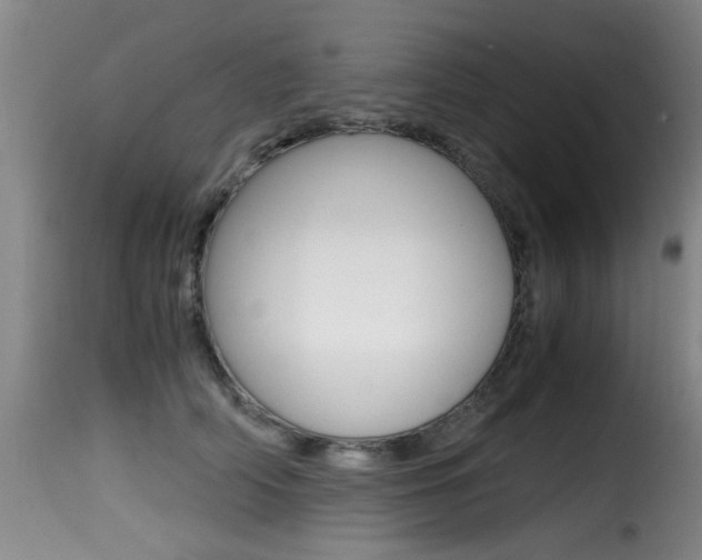 X0000116000706200911191214