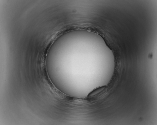 X0000116000708200911191214