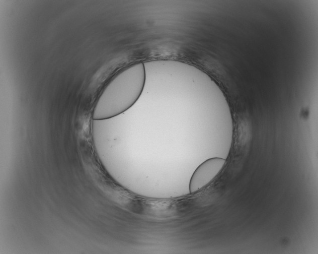 X0000116000709200911191214