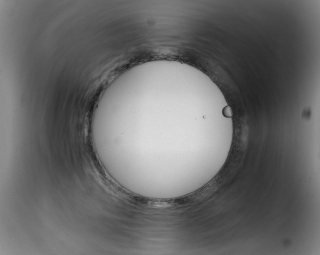 X0000116000710200911191214