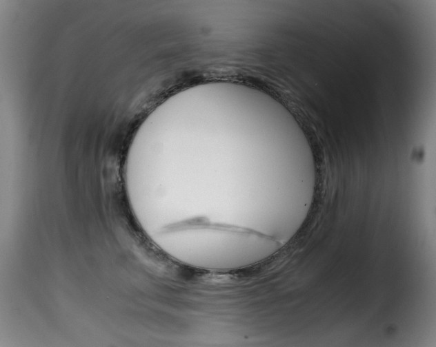 X0000116000711200911191214