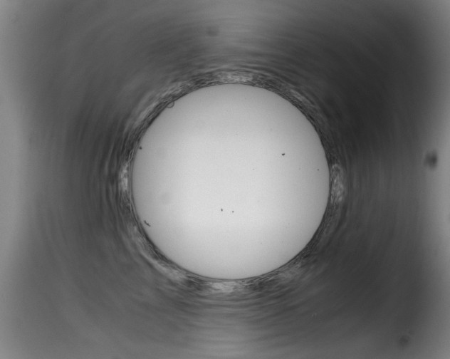 X0000116000713200911191214