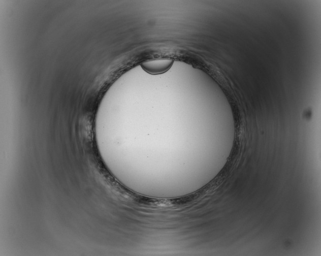 X0000116000715200911191214