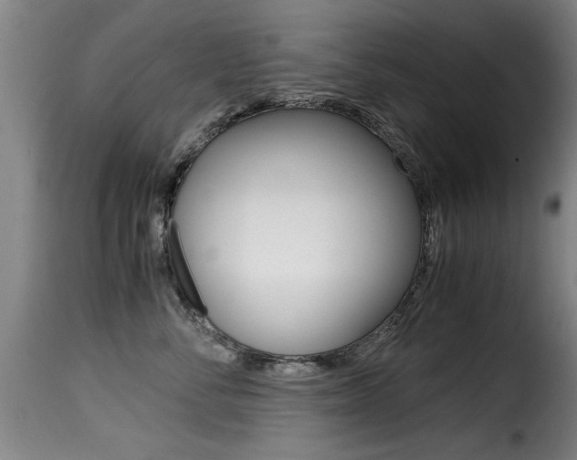 X0000116000716200911191214