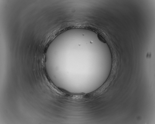 X0000116000720200911191214