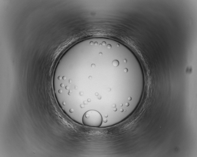 X0000116000721200911191213