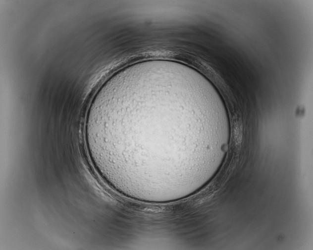 X0000116000725200911191213