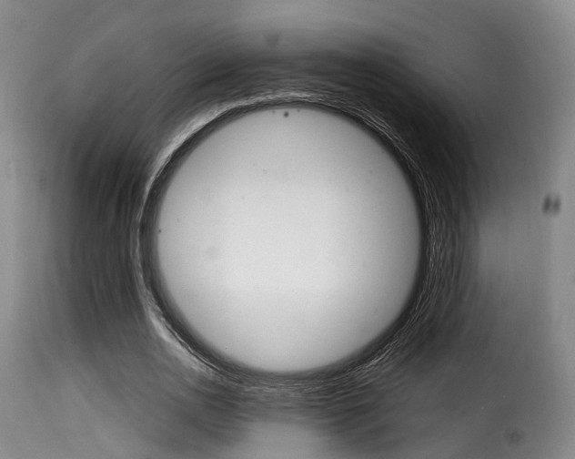 X0000116000726200911191213