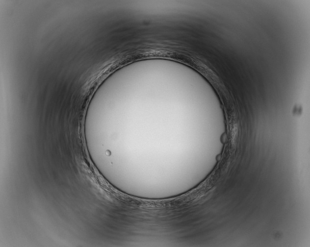 X0000116000729200911191213