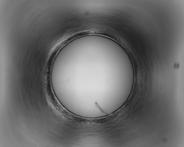 X0000116000730200911191213