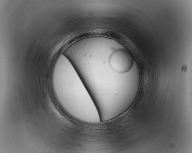 X0000116000734200911191213