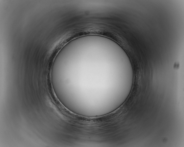 X0000116000735200911191213