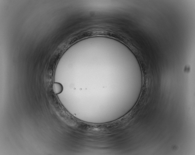 X0000116000737200911191213