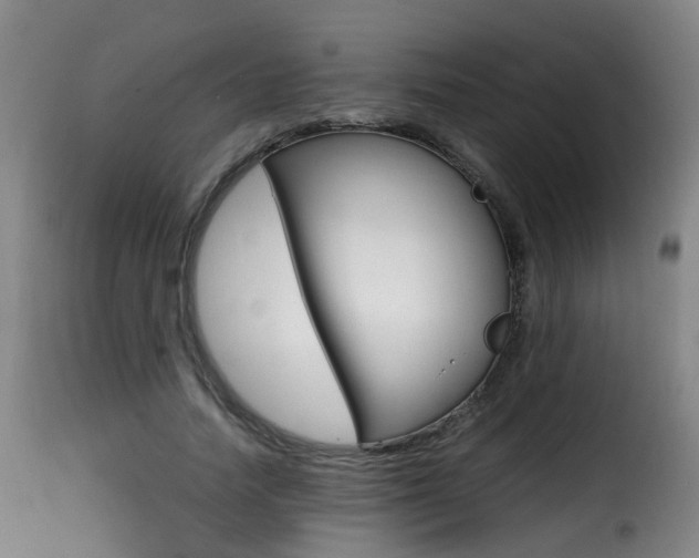 X0000116000738200911191213