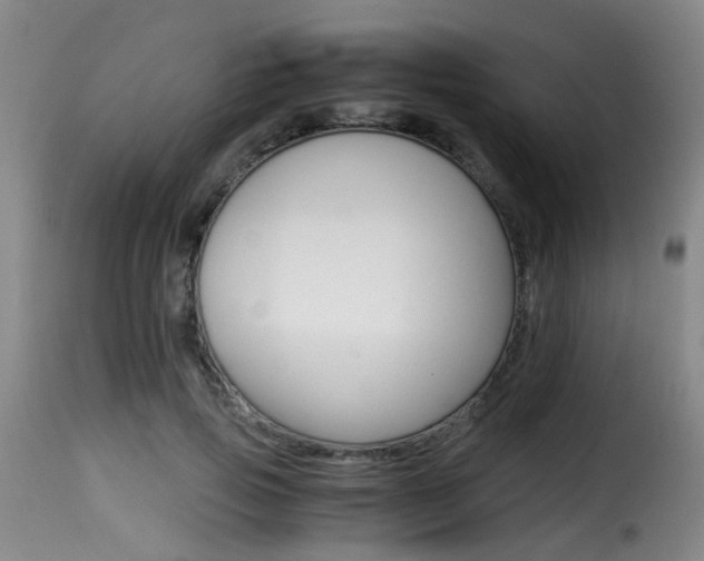 X0000116000741200911191213