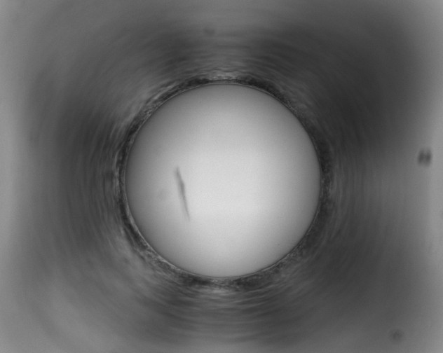 X0000116000743200911191213