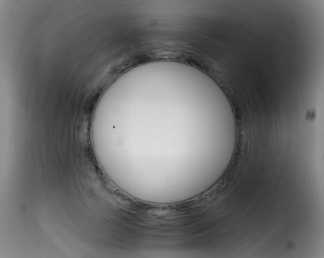 X0000116000745200911191213