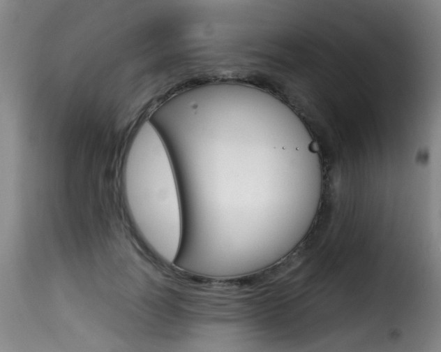 X0000116000746200911191213