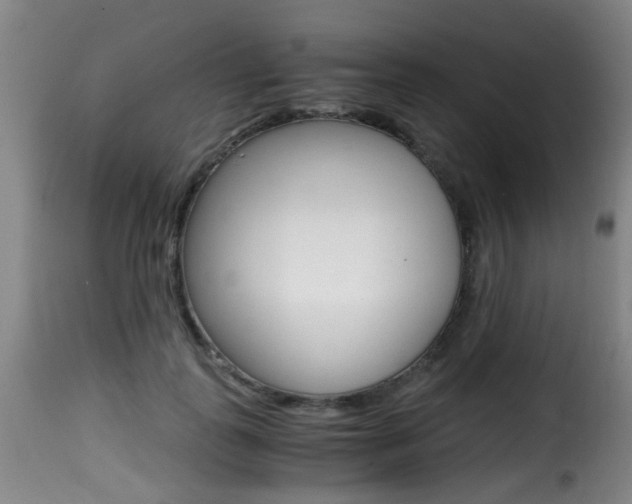 X0000116000747200911191213