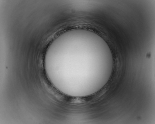 X0000116000754200911191213