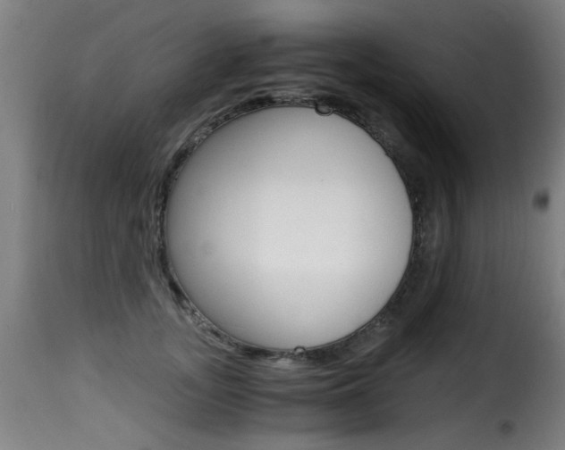 X0000116000755200911191213