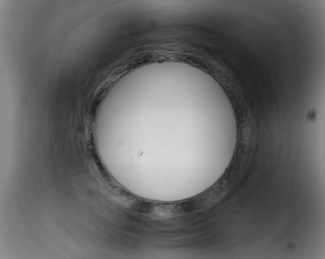 X0000116000757200911191213