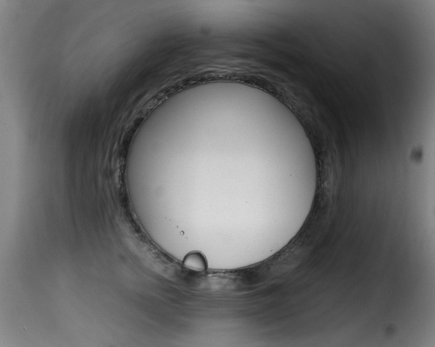 X0000116000758200911191213