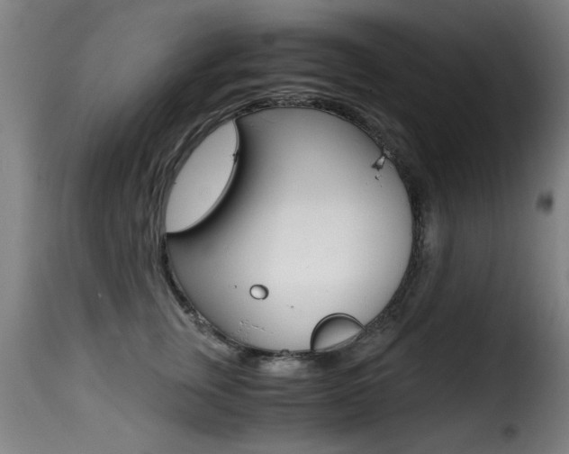X0000116000759200911191213