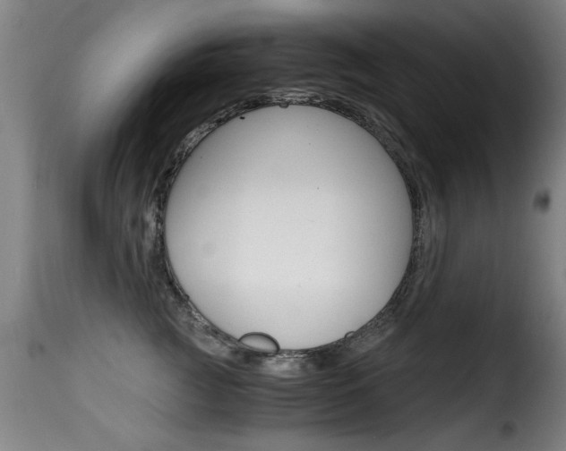 X0000116000761200911191214