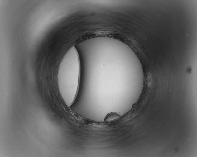 X0000116000763200911191214