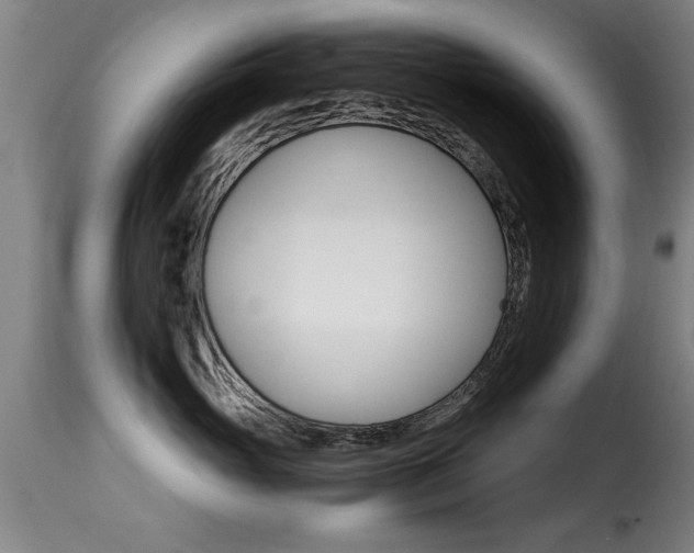 X0000116000765200911191214