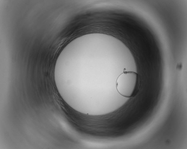 X0000116000766200911191214