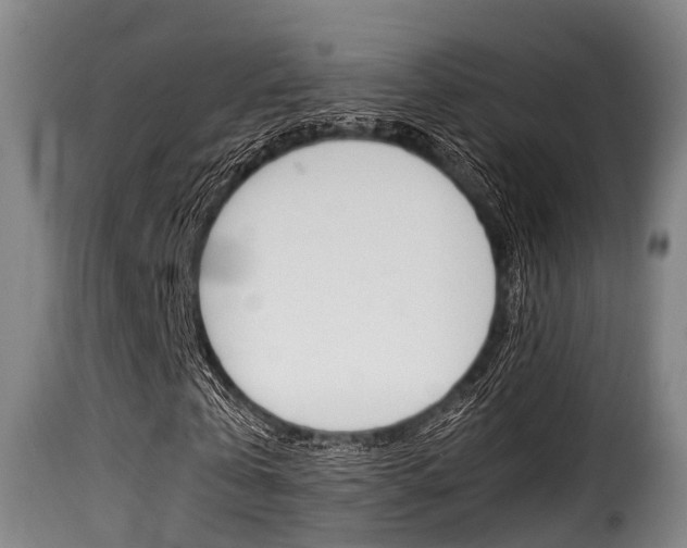 X0000116000769200911191213