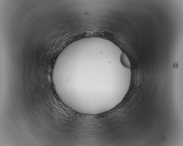 X0000116000770200911191213