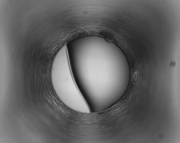 X0000116000772200911191213