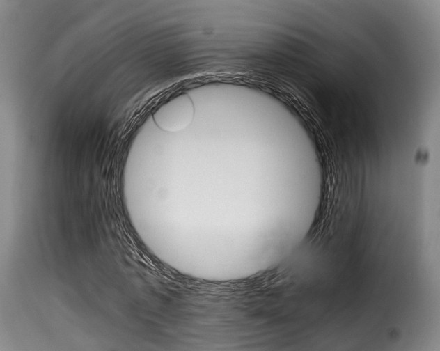 X0000116000773200911191213