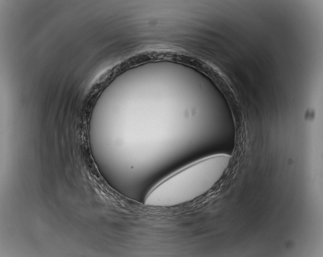 X0000116000775200911191213