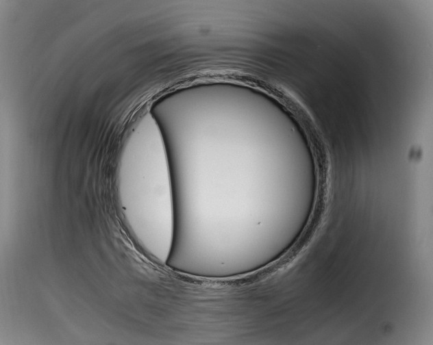 X0000116000777200911191213