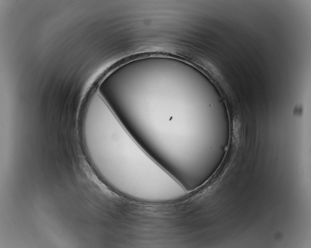 X0000116000780200911191213