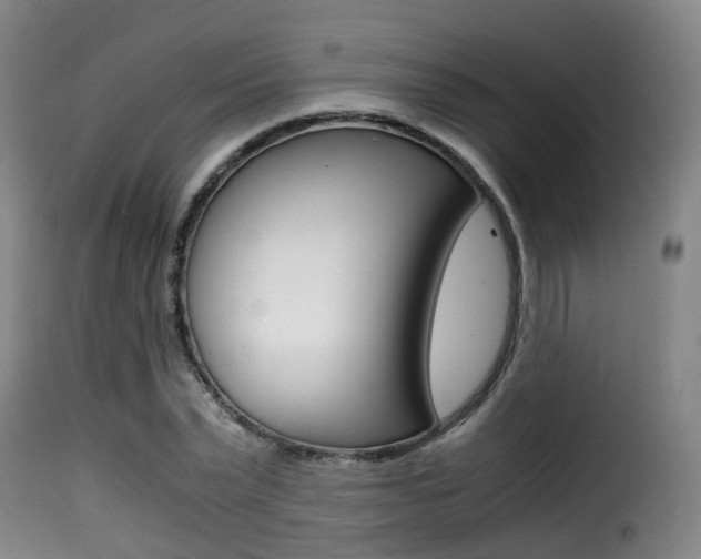 X0000116000783200911191213