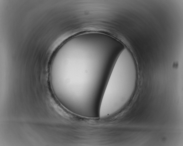 X0000116000787200911191213