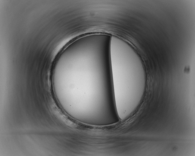 X0000116000788200911191213