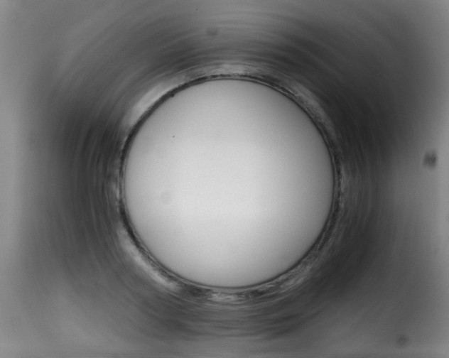 X0000116000794200911191213